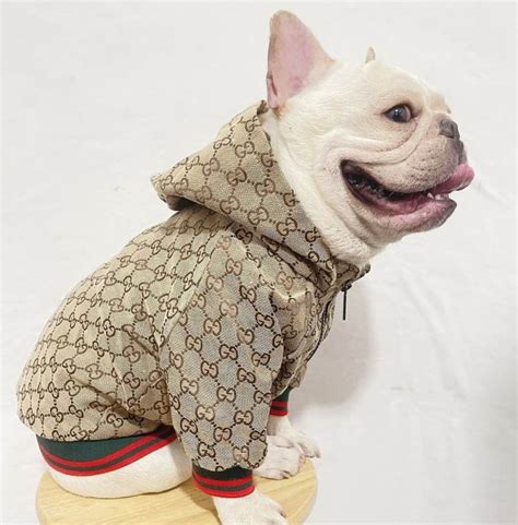 gucci animal clothing|gucci inspired dog clothes.